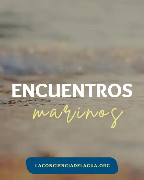 Encuentros Marinos Patricia Castro La Conciencia del Agua